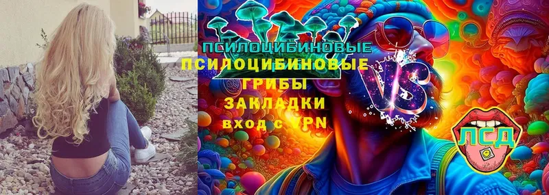 Псилоцибиновые грибы Cubensis  купить наркотик  Иваново 